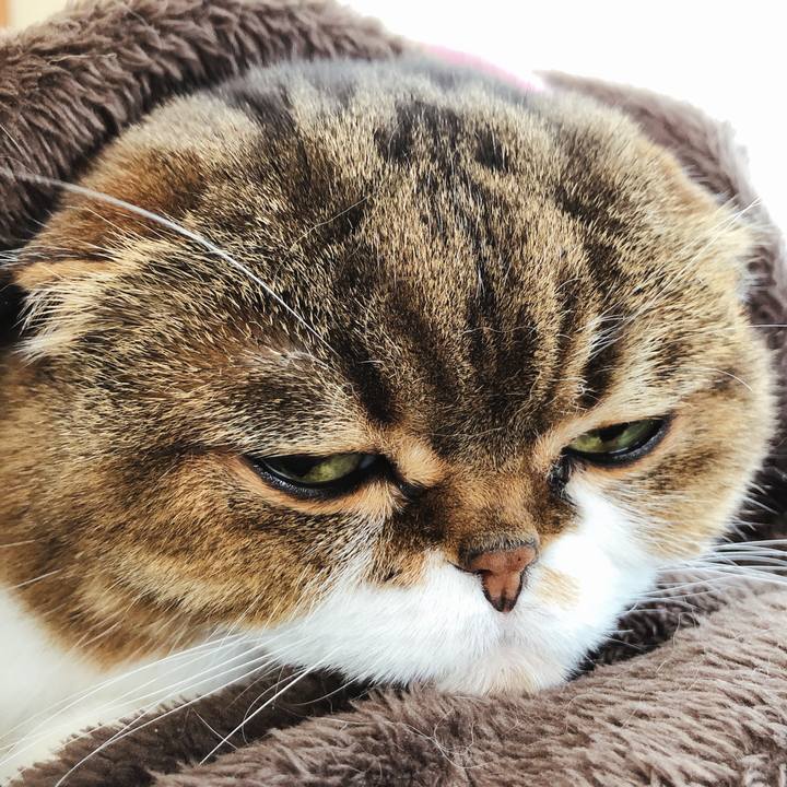 Fb221976 d10f 4a45 8a60 06e21a06cf13 1587899602596