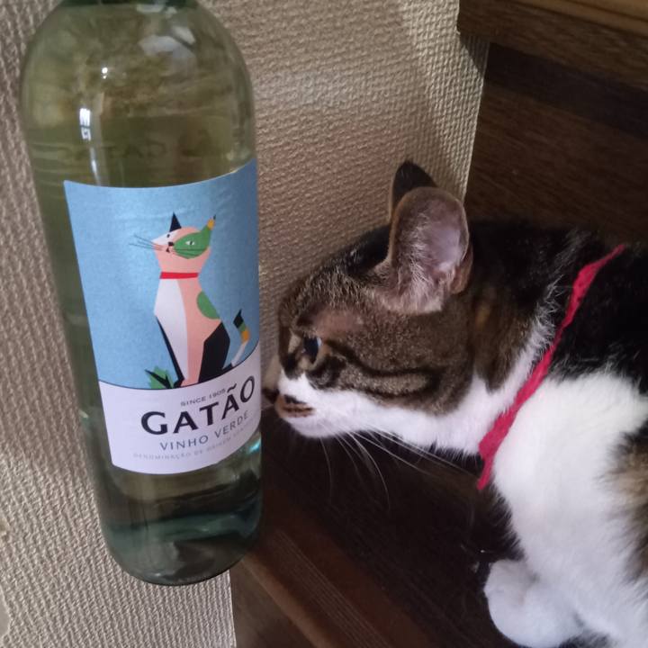 Fb225e67 14c9 474f 84fa 2bace03efc7b 1757919354590