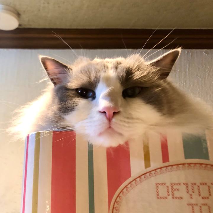 Fb226235 f5b0 469c 8317 f49b683666e2 1583107431624