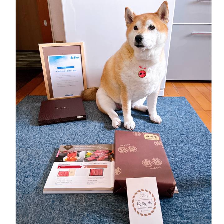 Fb227b97 cf48 4456 8ae5 1a05388809a4 1713147498845