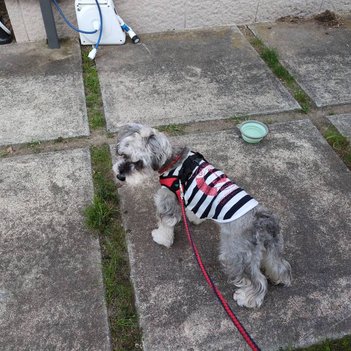 Fb2288d1 73a4 4976 a9f1 ea94bee4ae0d 1751614390201