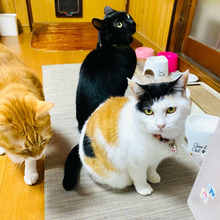 Fb229721 f600 4b18 868c f65911a6e292 1732009090880