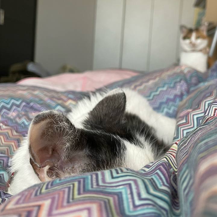 Fb22c793 1a98 482c 95a9 7881dd2add75 1635467676782