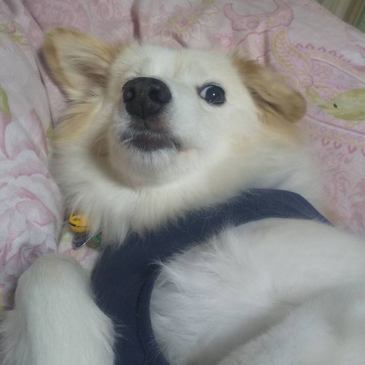 Fb22eee5 8dbe 4eab b239 d85325690981 1639691305391