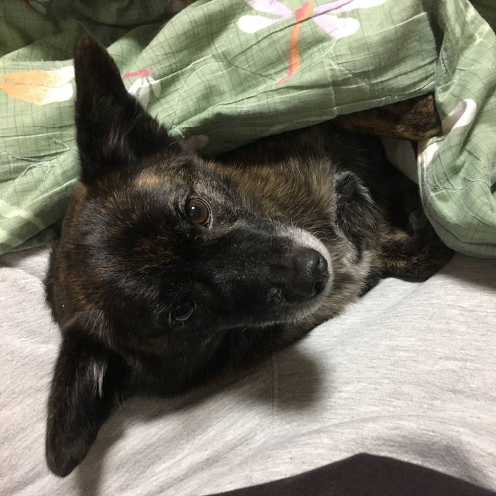 Fb230273 b28e 4261 836b 08aa88aca5ab 1509788822168