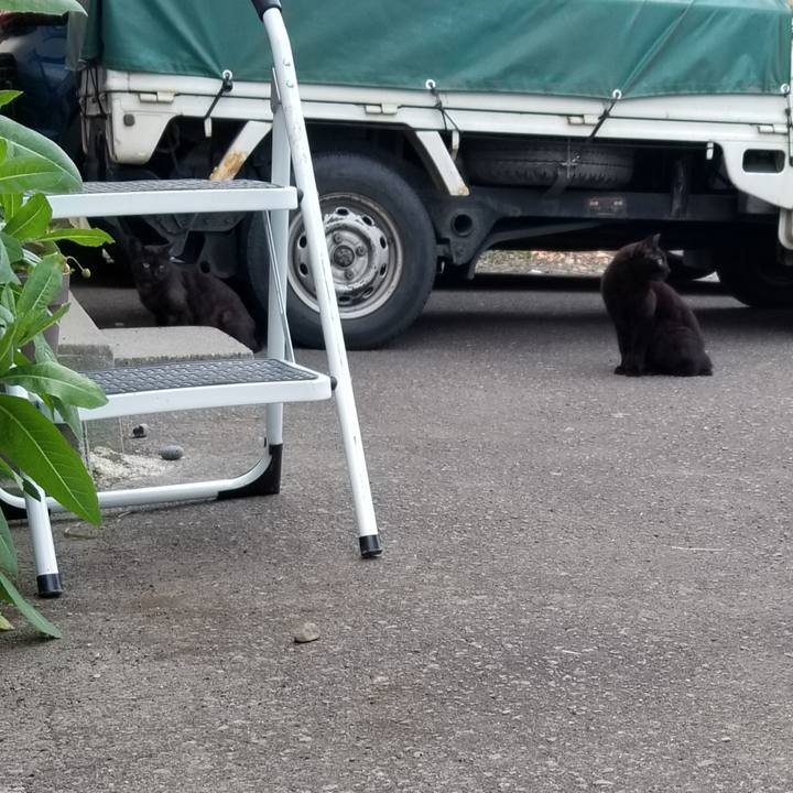 Fb231b5f 8c0c 4446 a73b 5b14b12a6e93 1656263192597