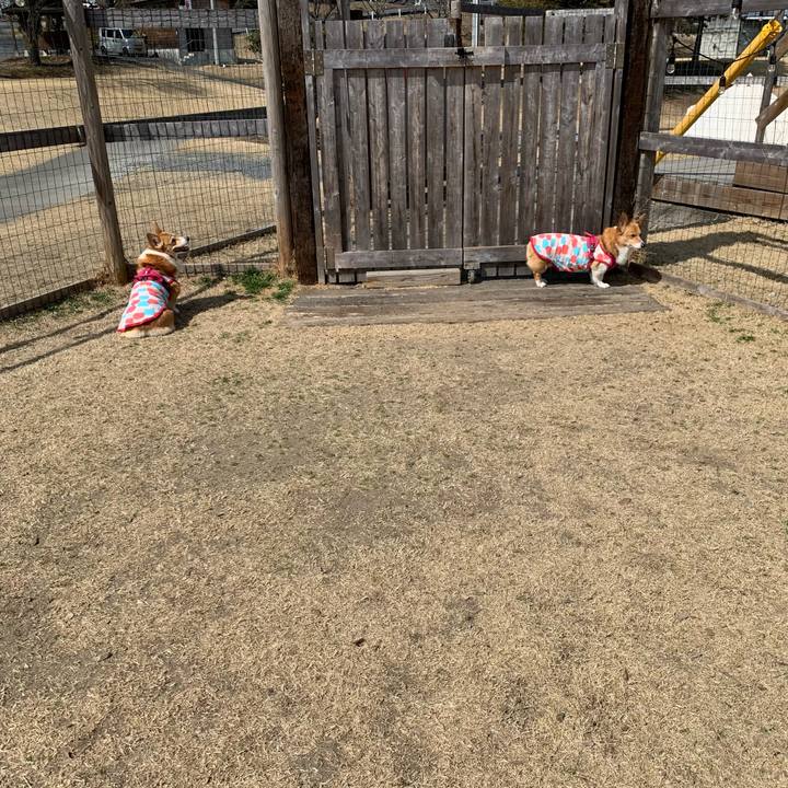 Fb2390a7 2be8 4135 98f5 459b29a0d294 1677983988706