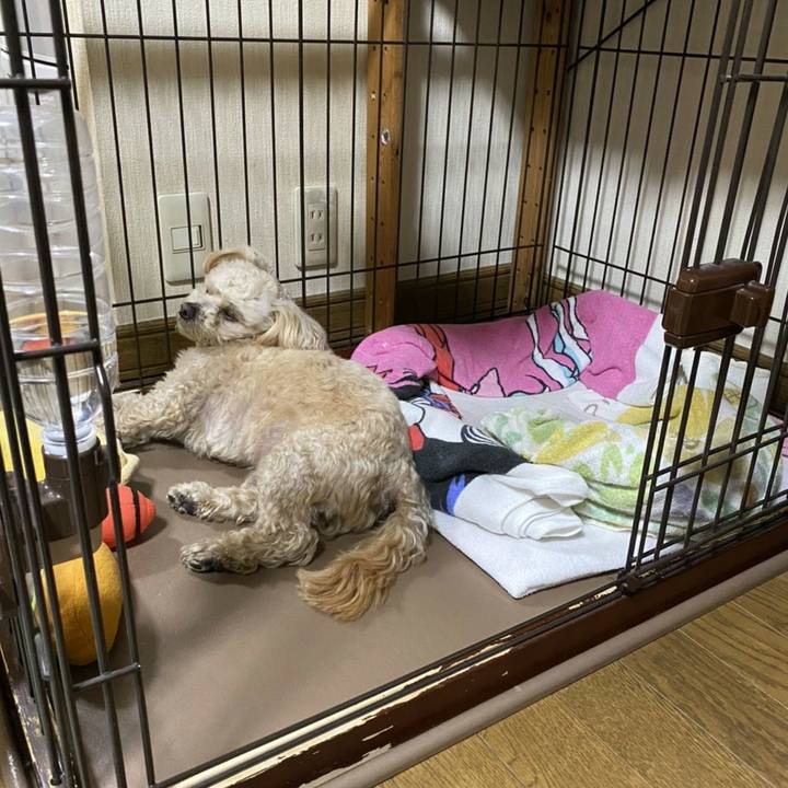 Fb23cb7b b617 4c1a 9fc2 7320eda1f7e3 1588343158666