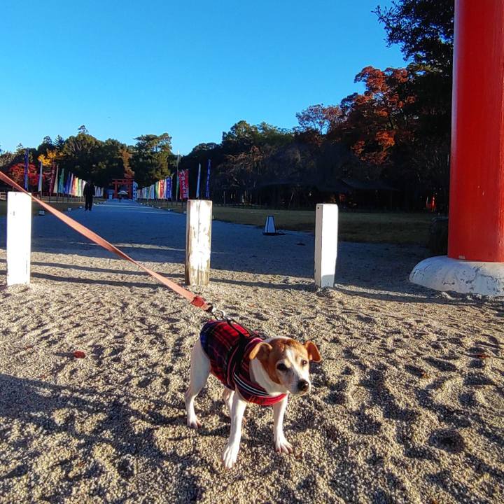 Fb23cde3 ab71 4cf0 bee8 94942781d845 1763768454752