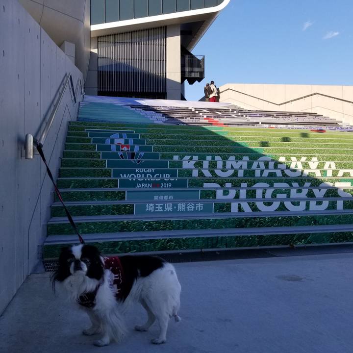 Fb23ec0d d016 4536 8728 b4d0926d97ce 1546507276987