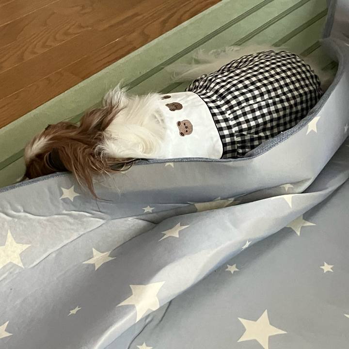 Fb2409f2 6d7e 410a a533 f961c45366ce 1727913465291