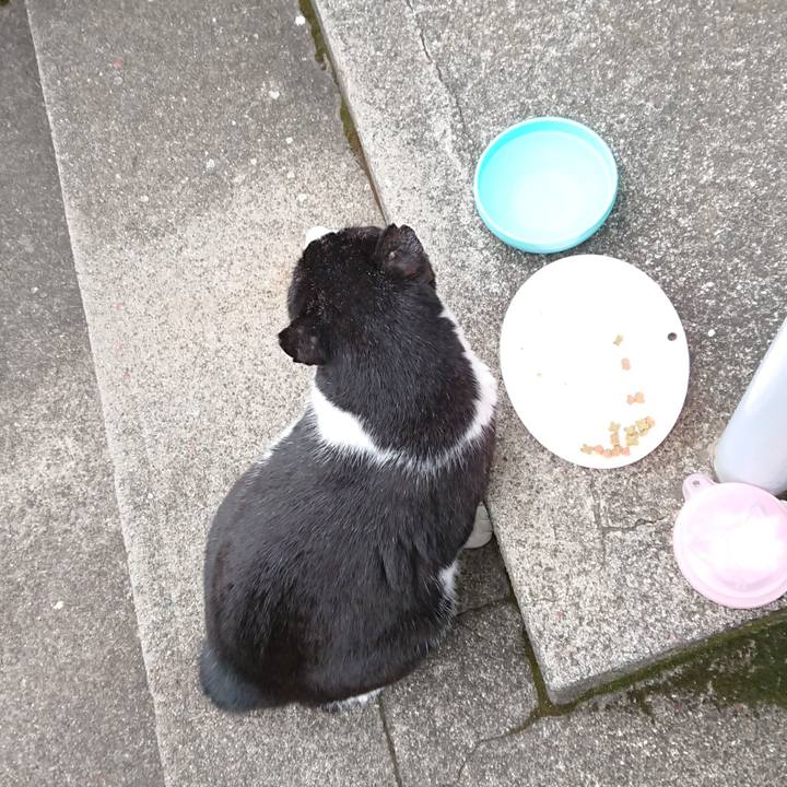 Fb242d64 a118 4662 ad85 c317e4b0171b 1624869598548