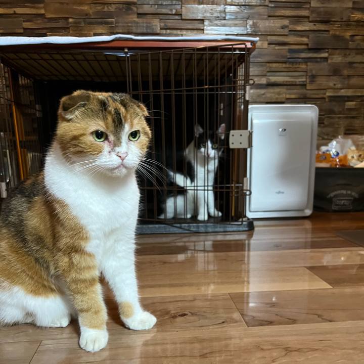 Fb246ecd b982 4b2c a330 d324f48ba778 1660302257244