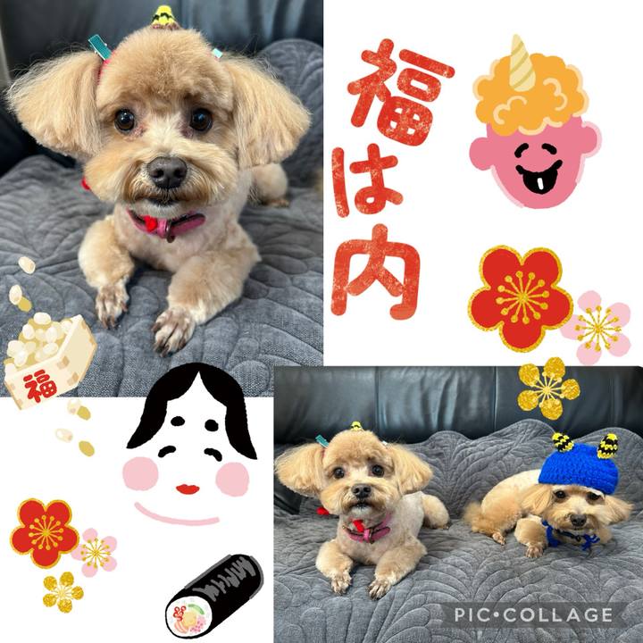 Fb248eea 41ef 44dd a2ae 4e151df63a72 1738460650052