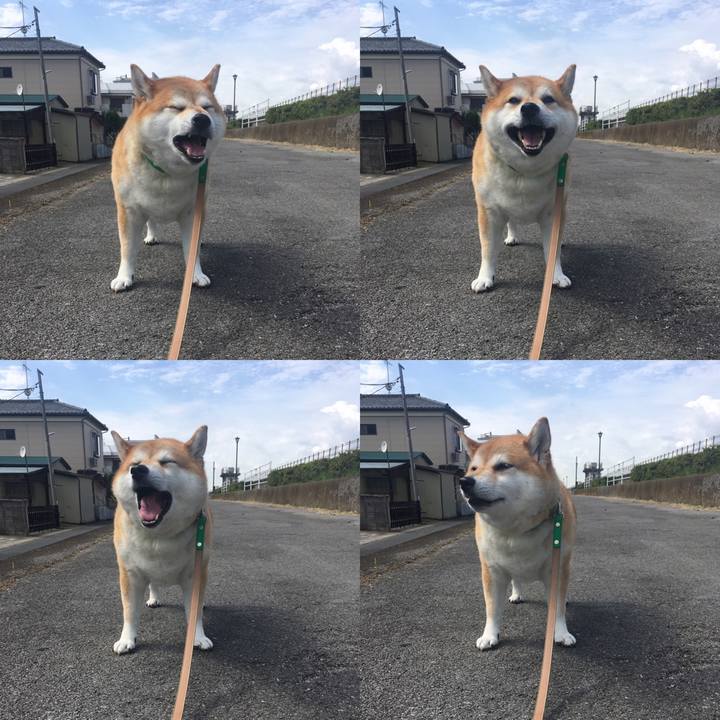 Fb24aebe 9ed3 4bbf bdde d03f80f19343 1601694785078