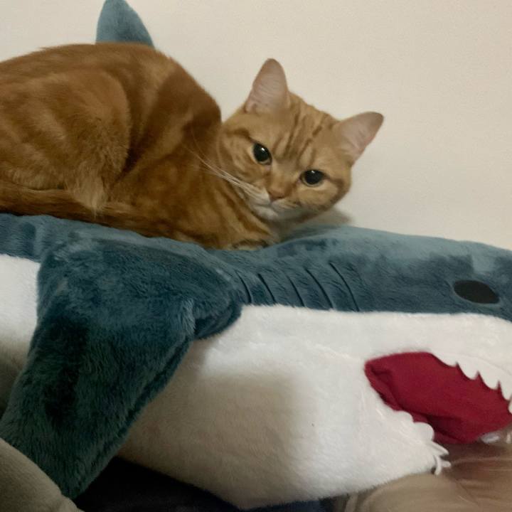 Fb24b5b9 f25b 4527 8876 6f028b605bf8 1617618021632