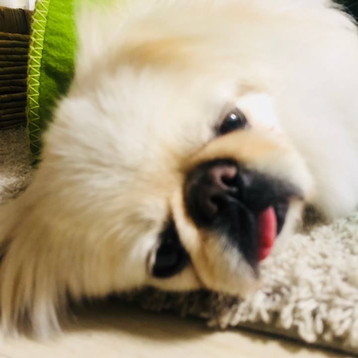 Fb25776b 9e97 44fc 8a95 a7be44edbd4e 1588680339797