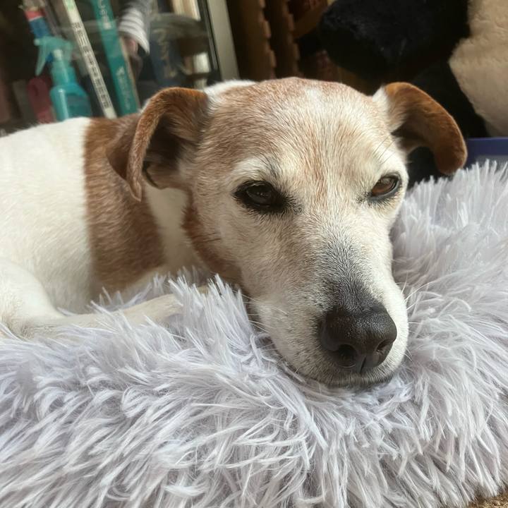 Fb257827 8c6f 47b9 a04f 0a16967f5b5e 1776640264889