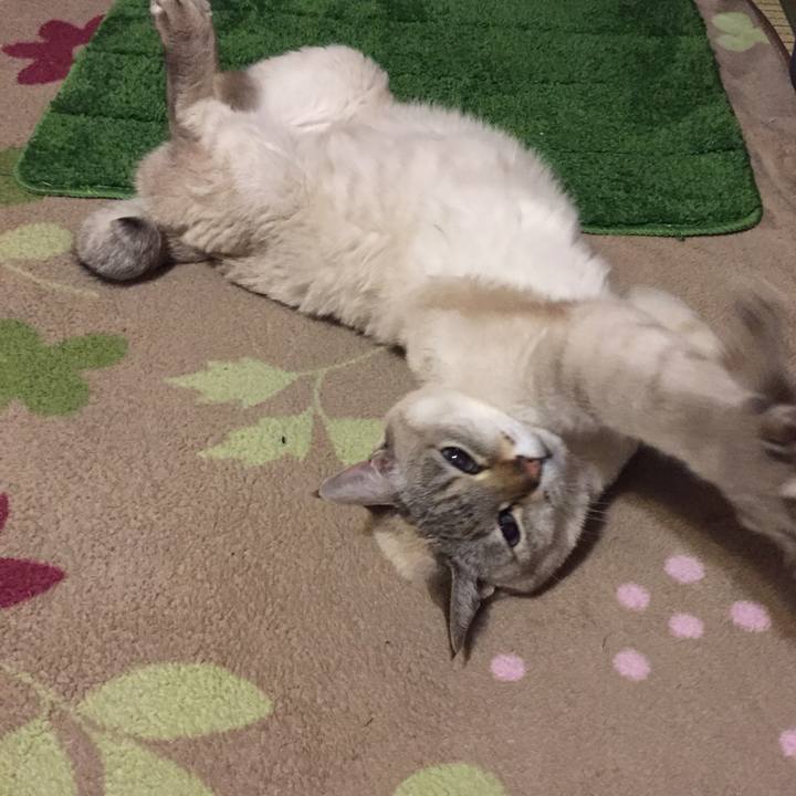 Fb25aedc a42c 475f 9dc0 3c99a0b5a0a9 1547212731436