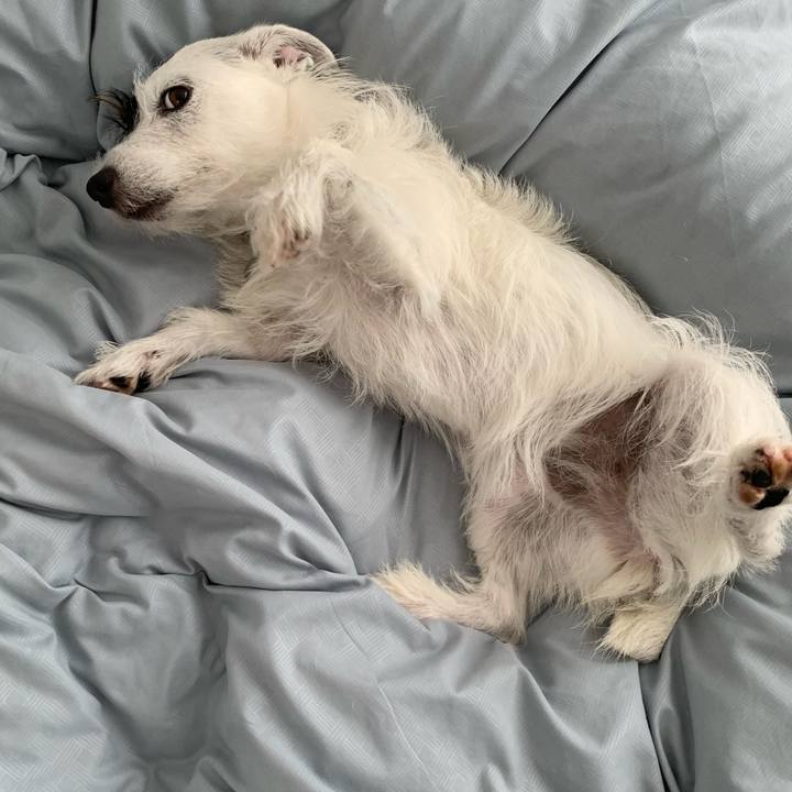 Fb25ba1b 26da 47c2 a654 5192660e4e64 1566435636695