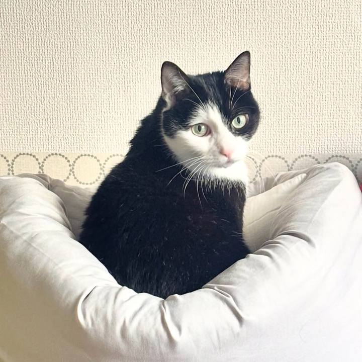 Fb25ff93 397d 49d7 8612 5d14278396d6 1769474973339