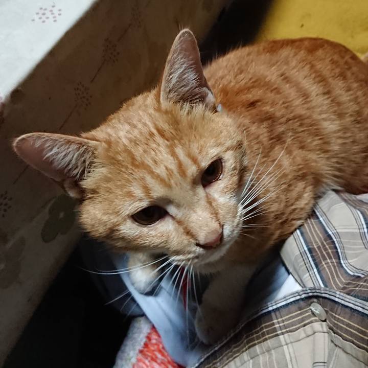 Fb2640f7 70fd 4873 8090 2bbd60c46339 1570411296280