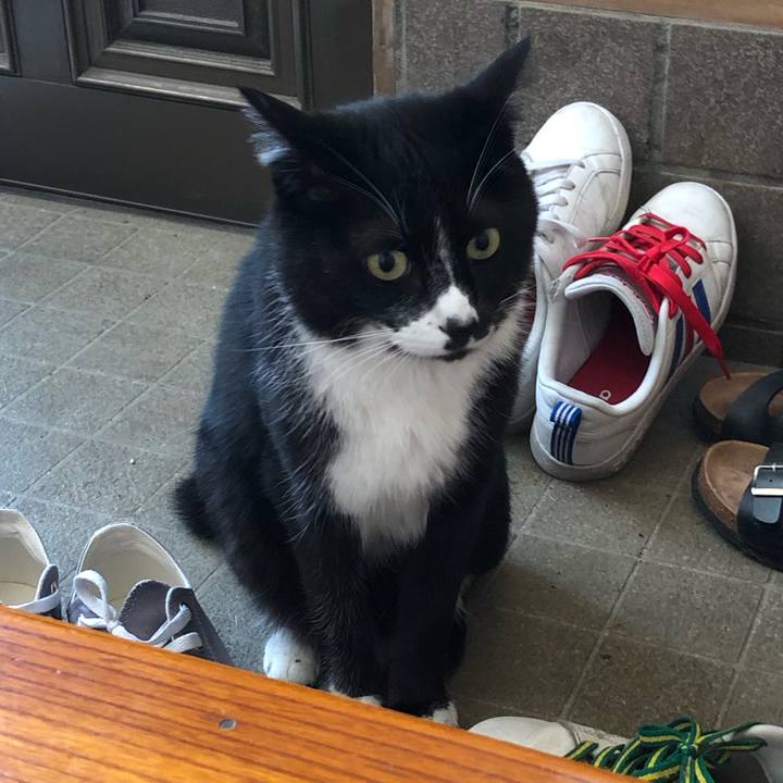 Fb26821b be31 4da6 8ac3 f71eacc15f32 1559014526364