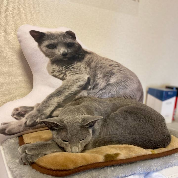 Fb26896a 3e64 4112 b26e 7c33b530dbac 1639109413349