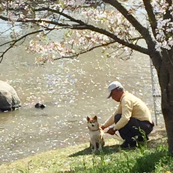 Fb268cf7 8d73 4e73 9aff afb32cc91c04 1522763477757