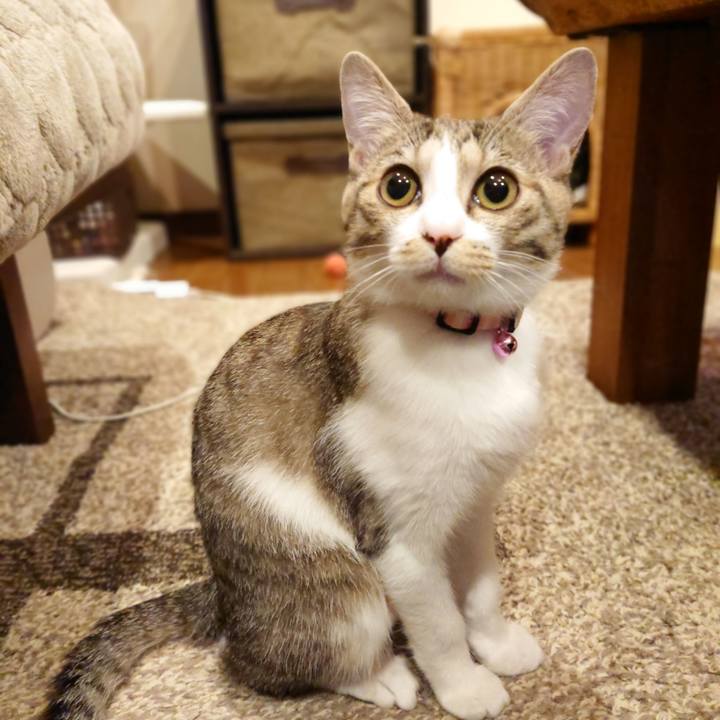 Fb26b139 fa9c 419b b5f4 c945a8ddac95 1552229849415