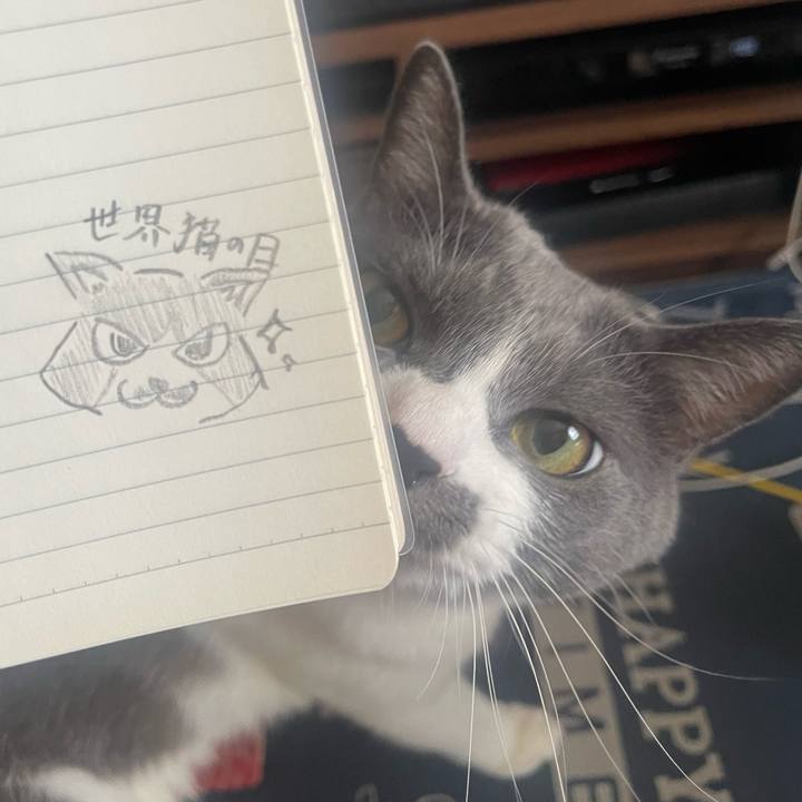 Fb26b721 73b6 481e 99b0 b1e492d52967 1723093769558