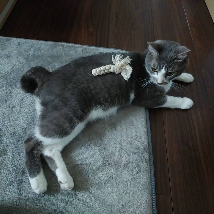 Fb26d4da 08f6 4746 84d1 7fe4b7054e2b 1593041290625