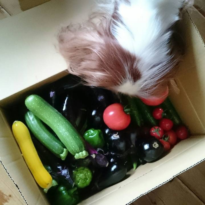 Fb26db67 8347 4637 87d3 d9e006eda469 1563087646725