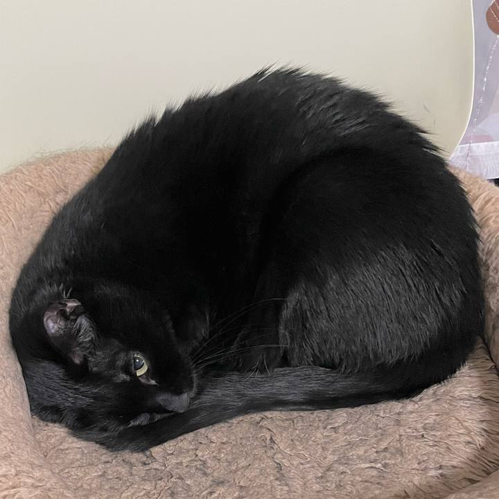 Fb26e7d2 7ed0 4931 b92e ed214288a962 1674129415299