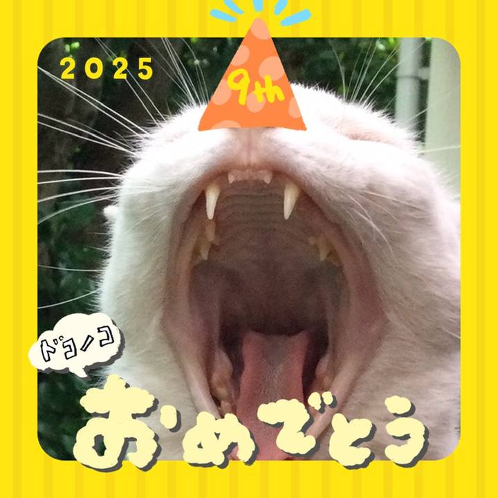 Fb26eb20 4d50 45f9 9ff7 4fc714ba8e2c 1749104383450