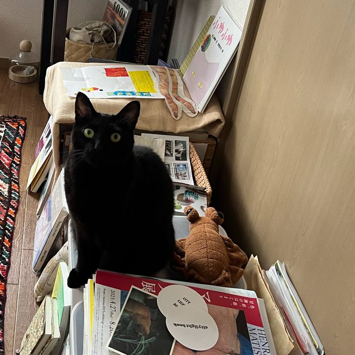 Fb27240f 94cc 48a3 9841 21724bbb212d 1727651078000