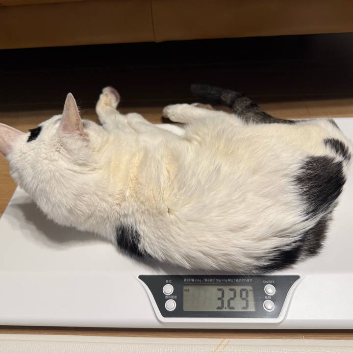 Fb272e5e b5f8 49a5 8971 a0d7003b7f7b 1770949814369