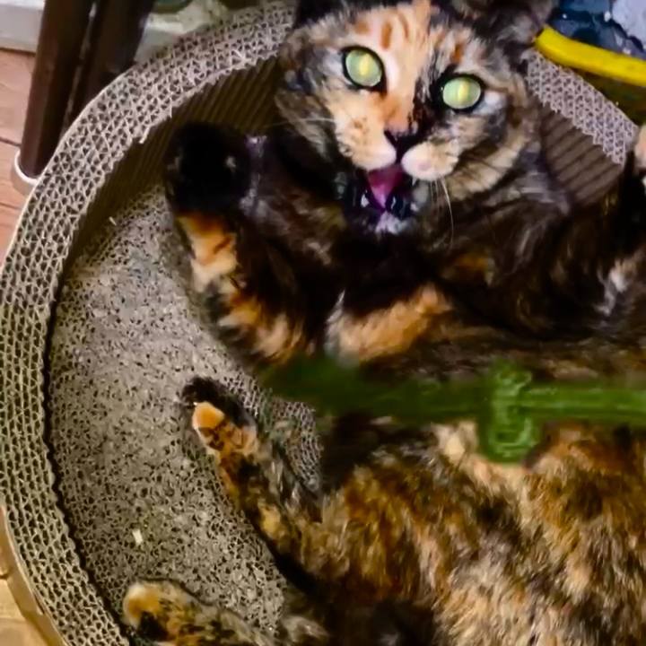 Fb273133 889d 4009 a0f0 2c5c50a27946 1740945815922