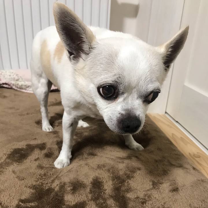 Fb27391b a59d 47a9 9ea0 885a48032c23 1643678975049