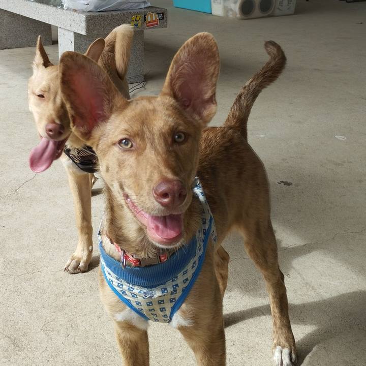 Fb274ff7 ca83 402f b63e 021880e12036 1741360532087