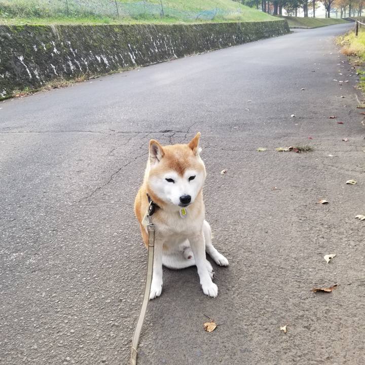 Fb276946 39fe 4b6e 8402 029c345ee1ab 1666420445852