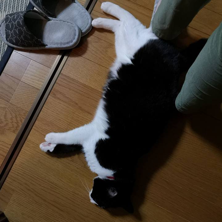 Fb276ea9 cff2 453b 857b 6bafd5f96f31 1559742498066