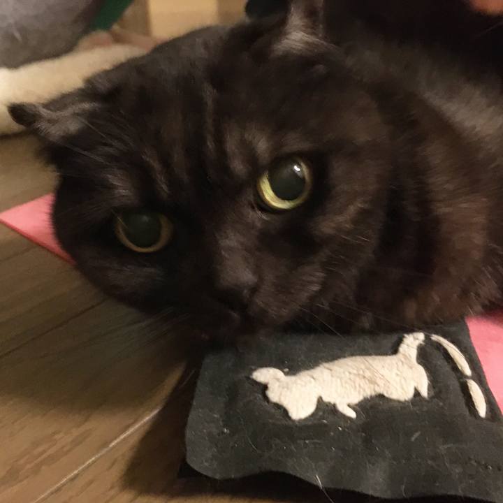 Fb277b5e 98c4 4df7 aa69 af8ab47e69f6 1585578571740