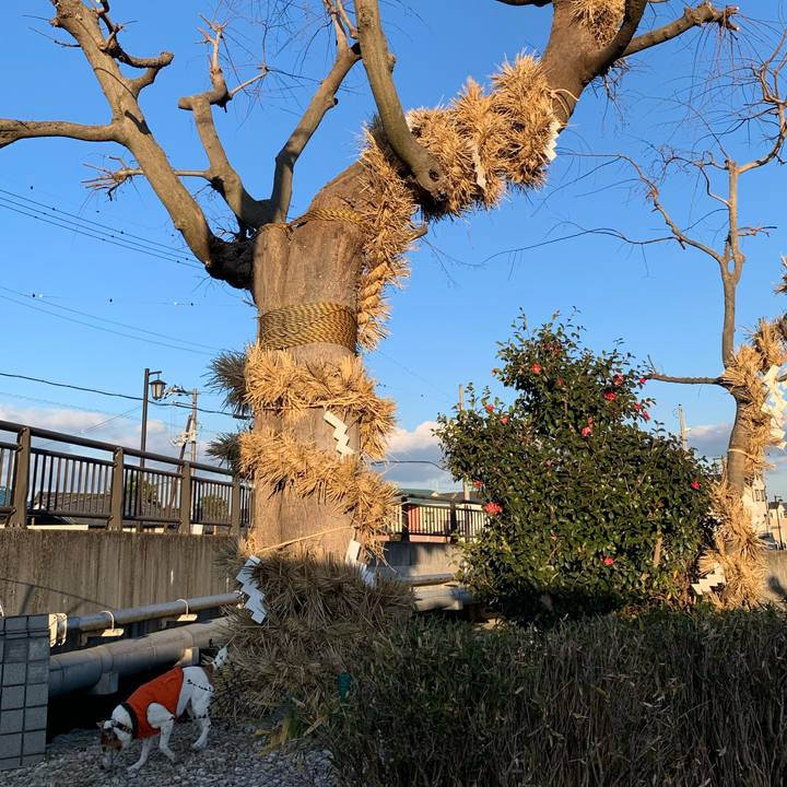 Fb277d7f 2c92 4dde 97de becb60c461dd 1610269149221