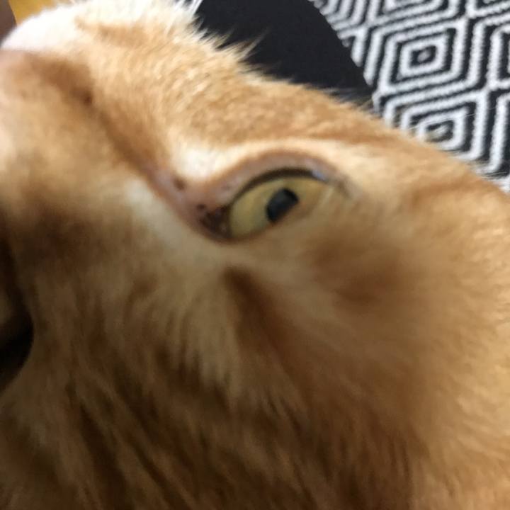 Fb2785d6 fe93 4c52 9b5c 08c757529d09 1570012769915