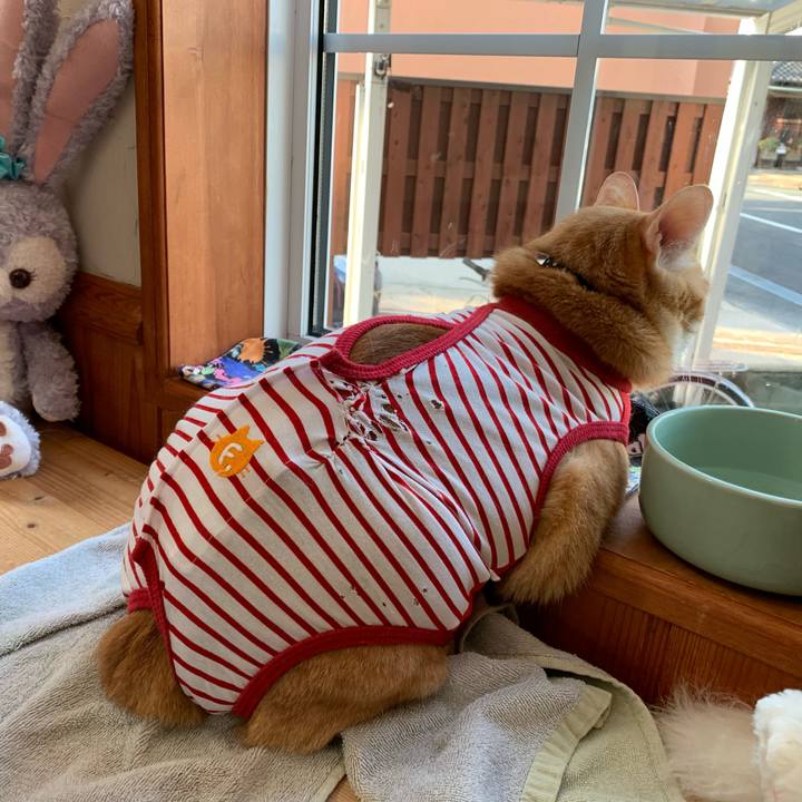 Fb27d13e 02c4 4847 91c8 2645f378da8d 1594959857792