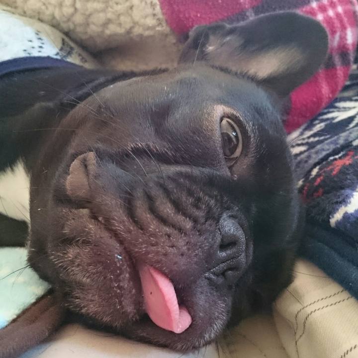 Fb27d9b2 8ca1 416e 8d52 6f886d853301 1510264865960