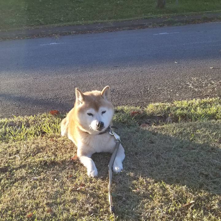 Fb27dbb9 21dd 4d40 bf6c 794eacd46cac 1666164349239