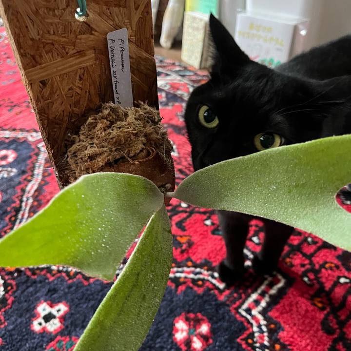 Fb281fa6 c97a 4998 81bf 2d04369dd5ec 1724285457494