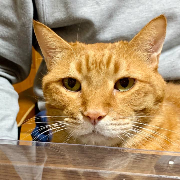 Fb282707 6d9c 41f9 bc48 edef01c9feb9 1637838123228